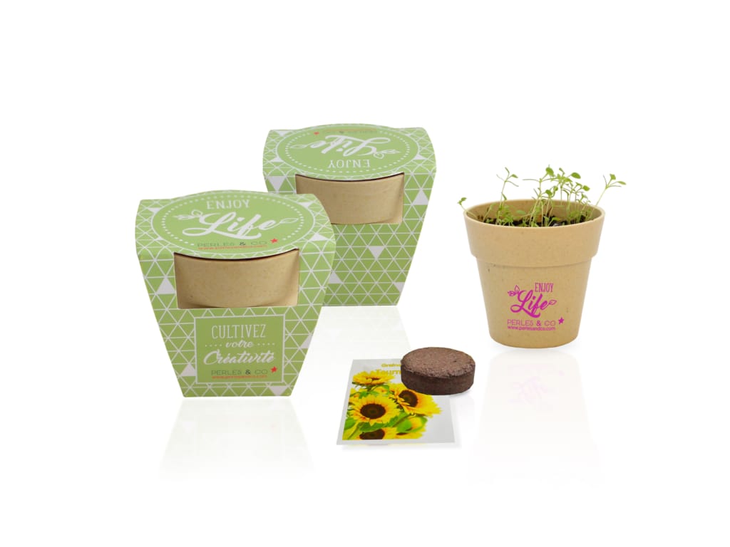 Kit de plantation Dequ