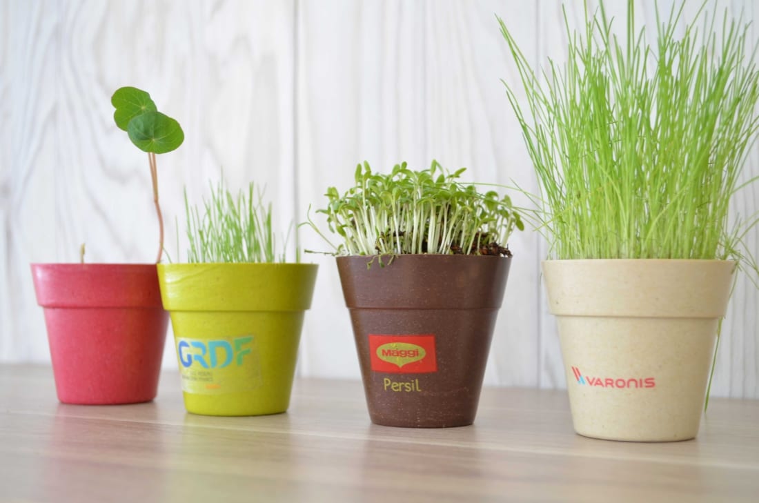Kit de plantation Dequ