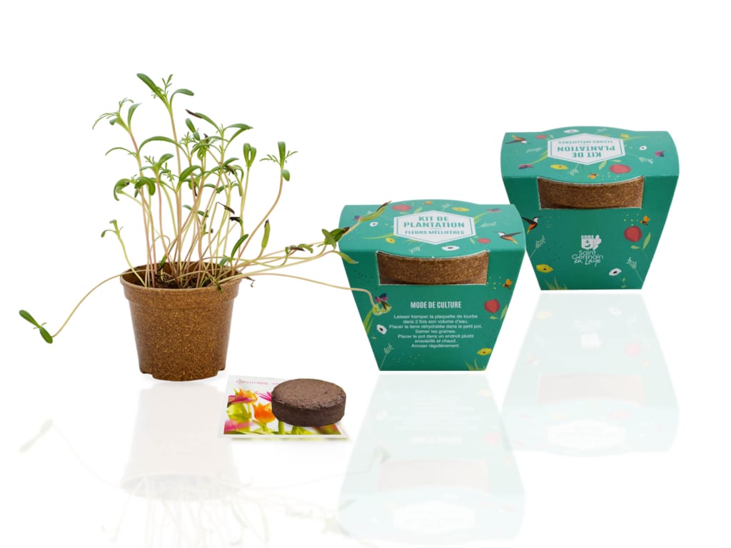 Kit de plantation Lico