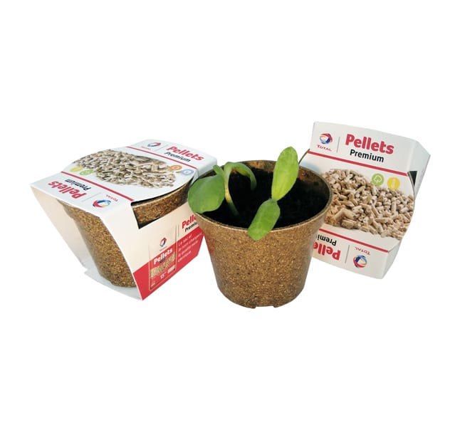 Kit de plantation Lico