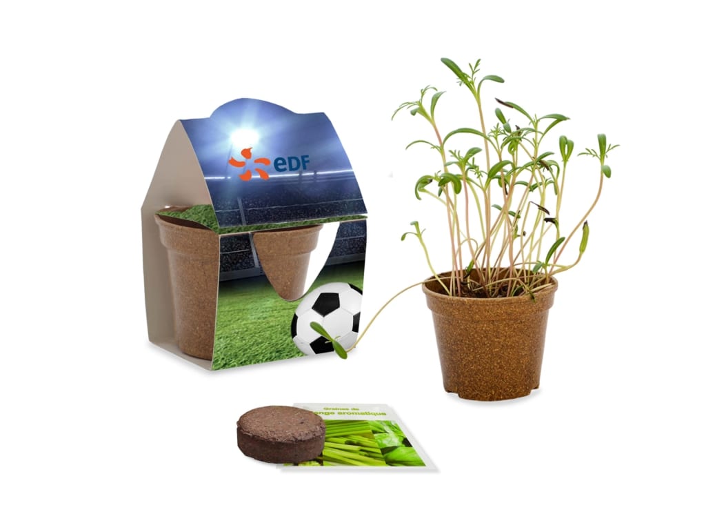 Kit de plantation Lico