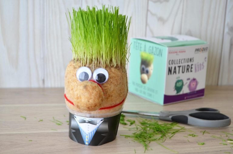 Plante Lilaje